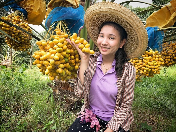 rang-su-roland-gia-bao-nhieu